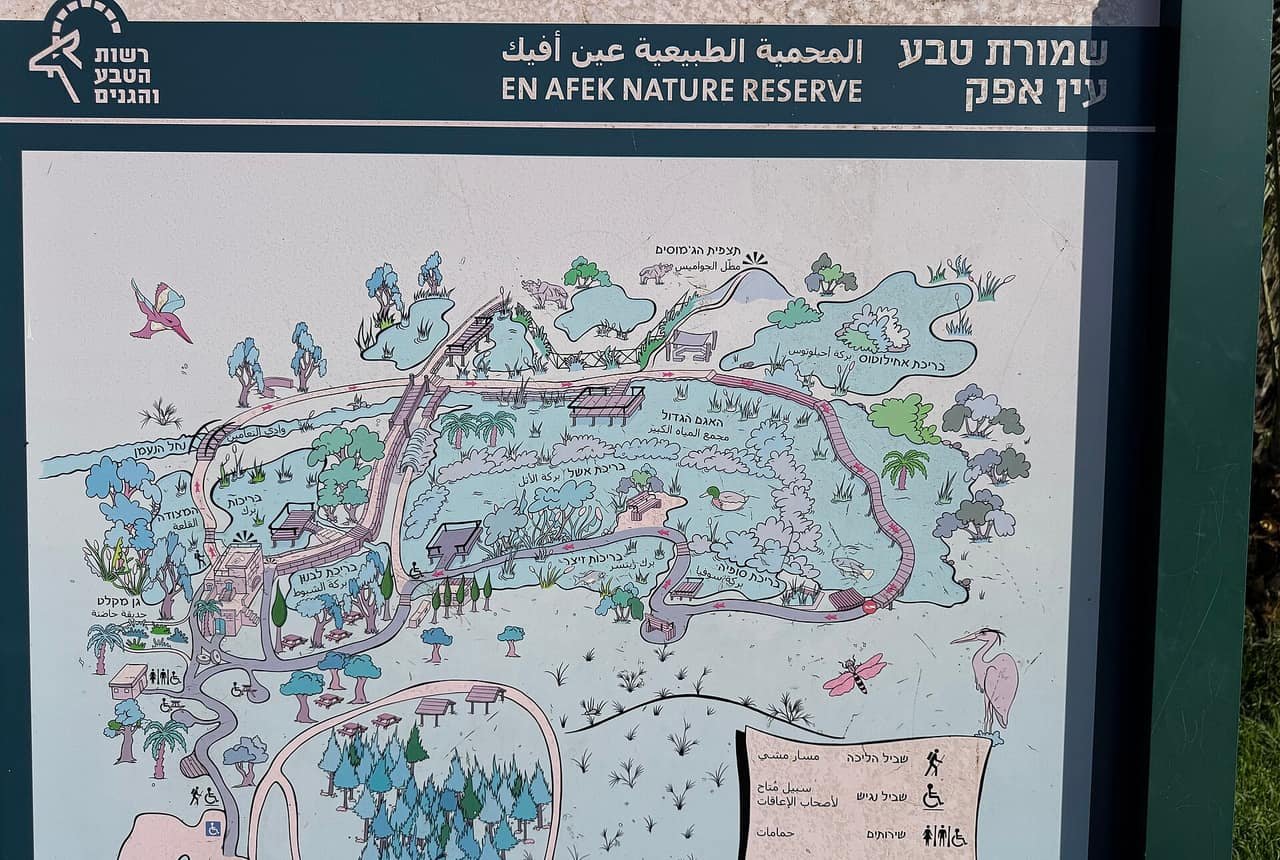 שמורת טבע עין אפק