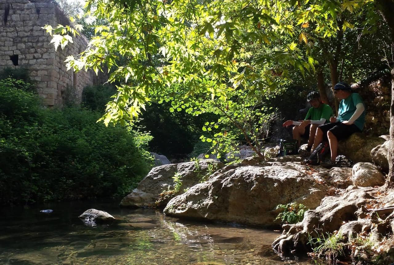 עין זיו בנחל כזיב — בריכה מוצלת